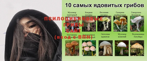 дмт Алексеевка